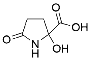 LiT Biosciences, LLC