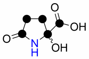LiT Biosciences, LLC