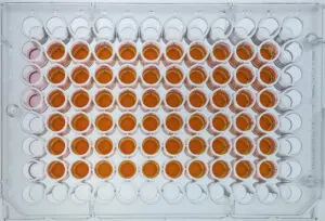 LiT Biosciences, LLC