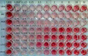 LiT Biosciences, LLC