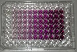 LiT Biosciences, LLC