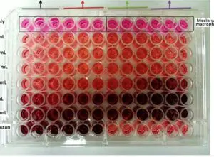 LiT Biosciences, LLC